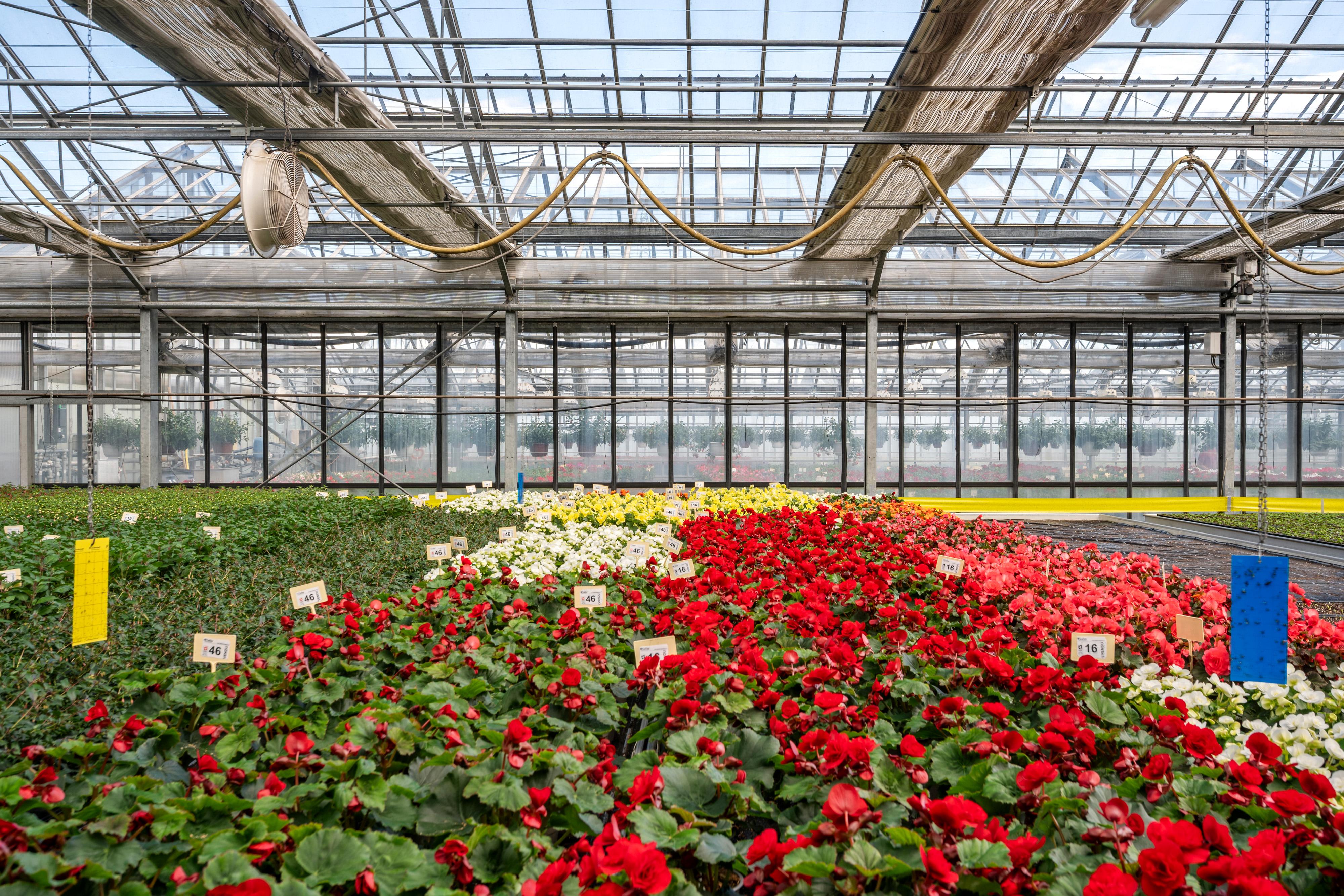 Verkauf eines führenden Gartenbaubetriebs in der Westschweiz - Image# 11